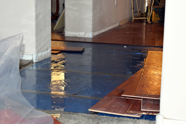 Professional Basement Flood Cleanup technician working in Schaefferstown, PA